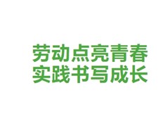【实高学校初中部】劳动点亮青春，实践书写成长 | 五一德育作业成果展示